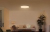 Светильник потолочный Xiaomi Mi LED Ceiling Light