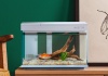 Аквариум Xiaomi Desgeo AI Fish Aquarium (HF-JHYG006)