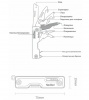 Мультитул Xiaomi NexTool Multi Functional Knife Синий (NE20099)