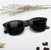 Солнцезащитные очки Xiaomi Turok Steinhardt Traveler Sunglasses Чёрный / Black (STR004-0120)
