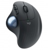 Трекбол Logitech Wireless Trackball ERGO M575 (910-005873)