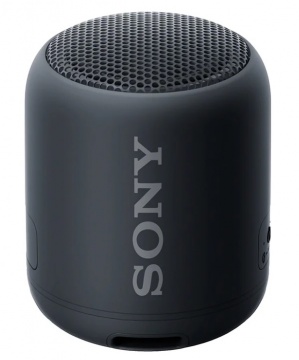 Акустическая система Sony SRS-XB12